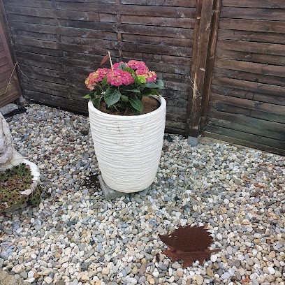 La Cave Fleurie, Fleuriste à Ath