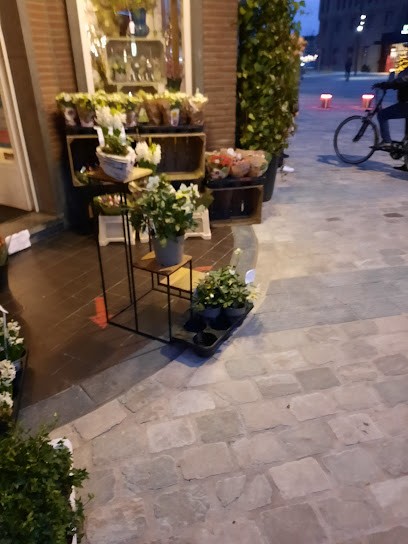 Bloemen De Valk, Fleuriste à Hasselt