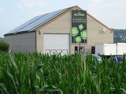 Alpina Bloemen & Accenten, Fleuriste à Lennik