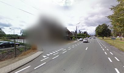 Bloemenpaleis, Fleuriste à Haaltert