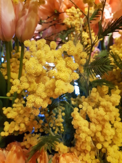 Costersveld Bvba, Fleuriste à Zedelgem