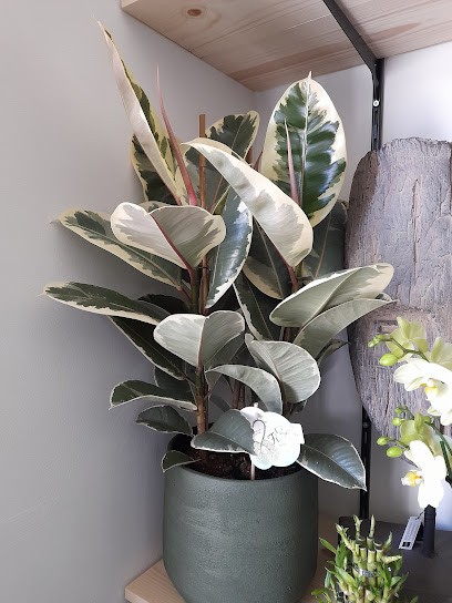 Le Fleuriste Grez-Doiceau, Fleuriste à Grez-Doiceau