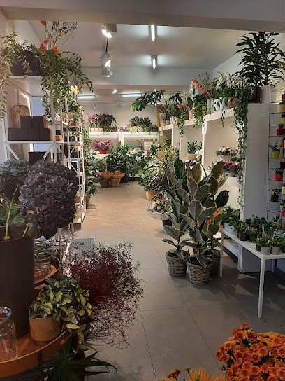 Bloembinderij Vandenbeck vof, Fleuriste à Boutersem