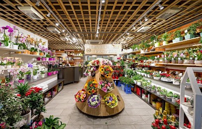 Schuman Flowers, Fleuriste à Etterbeek