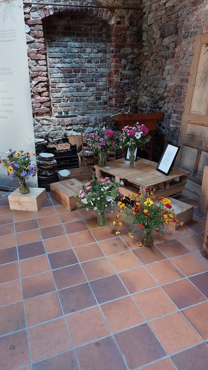 Dansons la capucine-fleurs locales et de saison, Fleuriste à Ham-Sur-Heure-Nalinnes