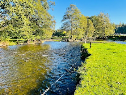 L'Ode, Fleuriste à Tenneville