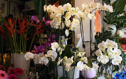 Blue Baie Fleurs, Fleuriste à Quaregnon