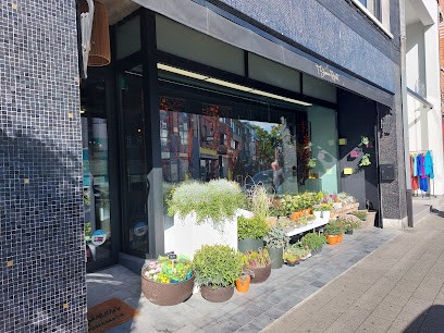 't Groene Hart, Fleuriste à Willebroeck