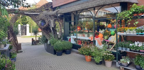 Coin Fleuri, Fleuriste à Knokke-Heist