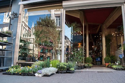 Hermanus, Fleuriste à Saint-Gilles