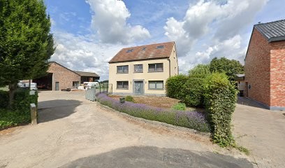 Rombaut / Ronny, Fleuriste à Beveren