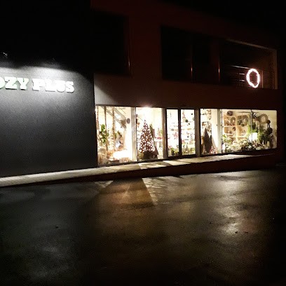 Bloemen en planten Cozyplus, Fleuriste à Zottegem