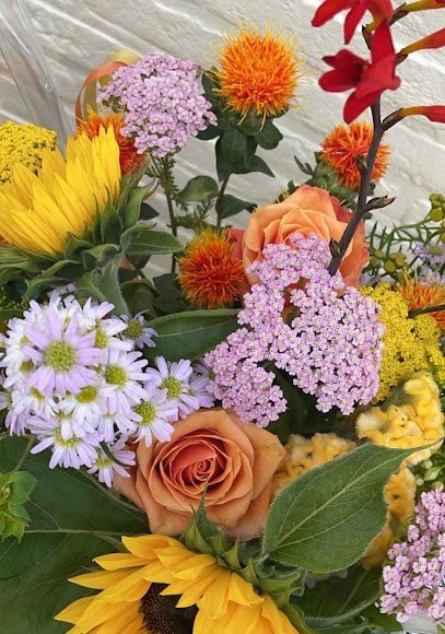 Bloemen Orchid, Fleuriste à Asse