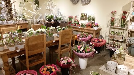 Timmermans - Van Tendeloo, Fleuriste à Zandhoven