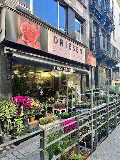Driesen / R, Fleuriste à Anvers