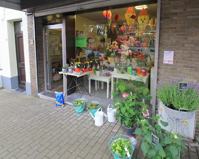 Multiflor, Fleuriste à Binche